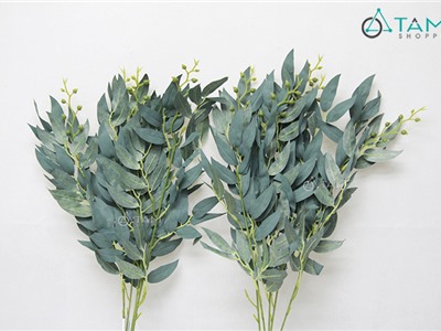 Cành lá bạch đàn xanh mốc Vintage D60cm F-CHG-94